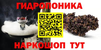 кокс Гусев