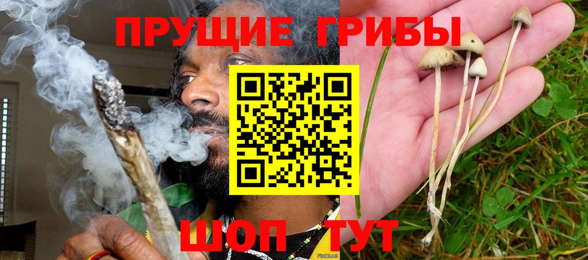 Чапаевск  Галлюциногенные грибы прущие грибы  Вход с VPN  Галлюциногенные грибы MAGIC MUSHROOMS 